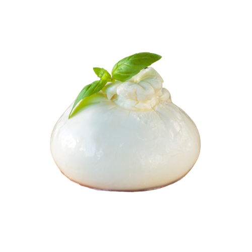 Burrata