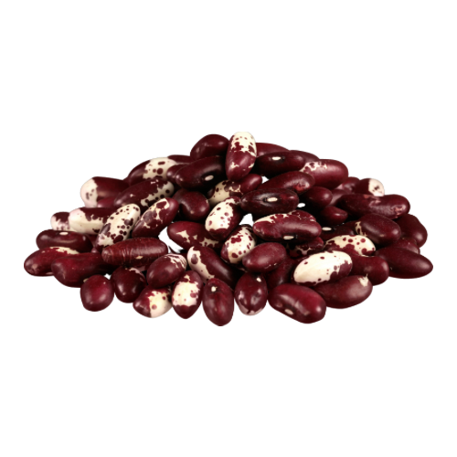 Pinto Bohnen