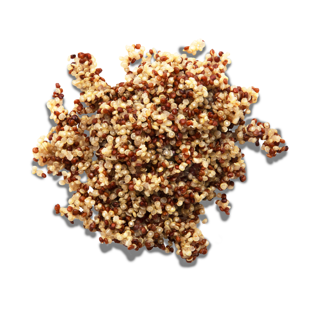 Quinoa