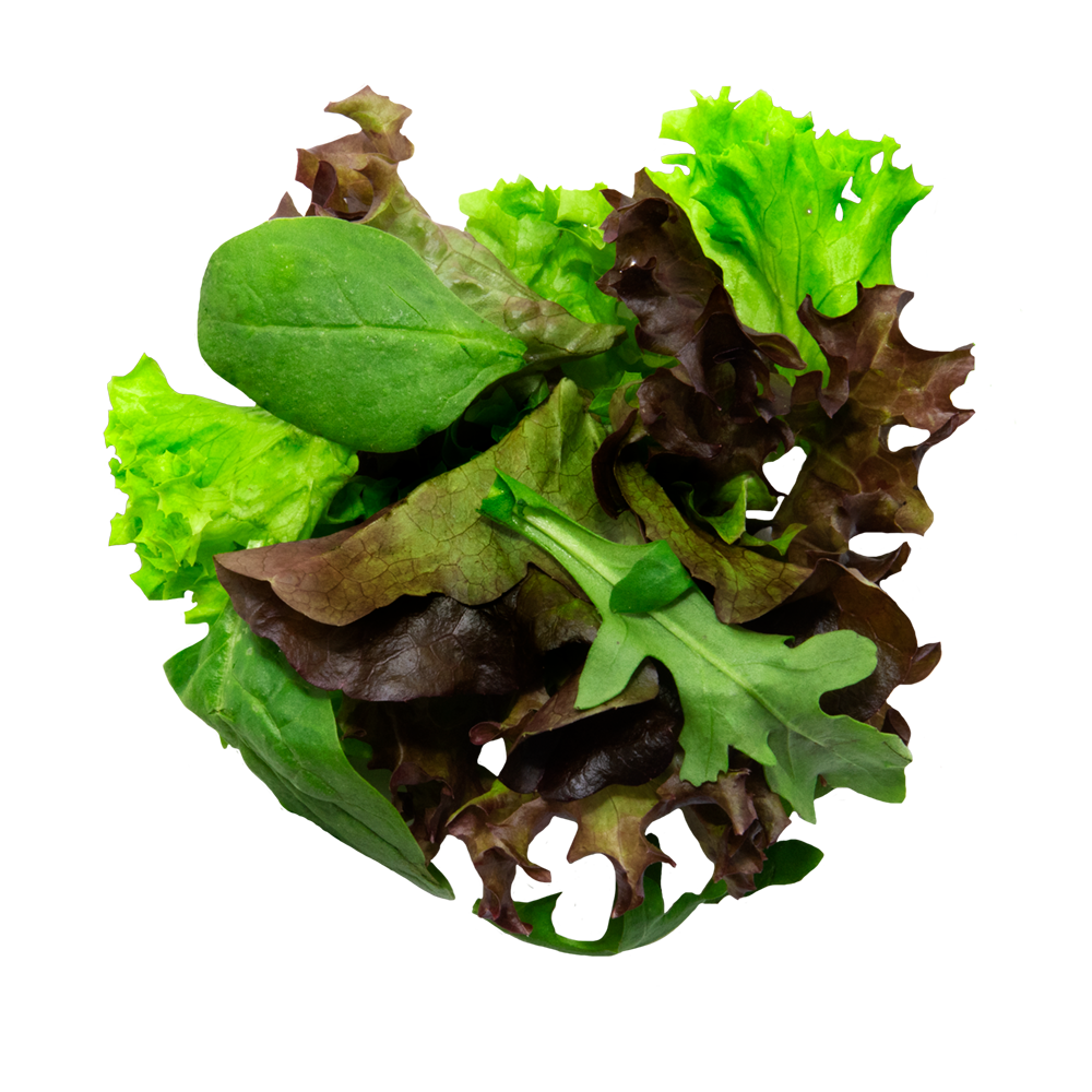 Salatmix