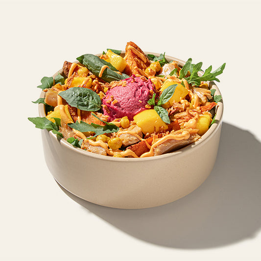 Vegan Protein Chicken